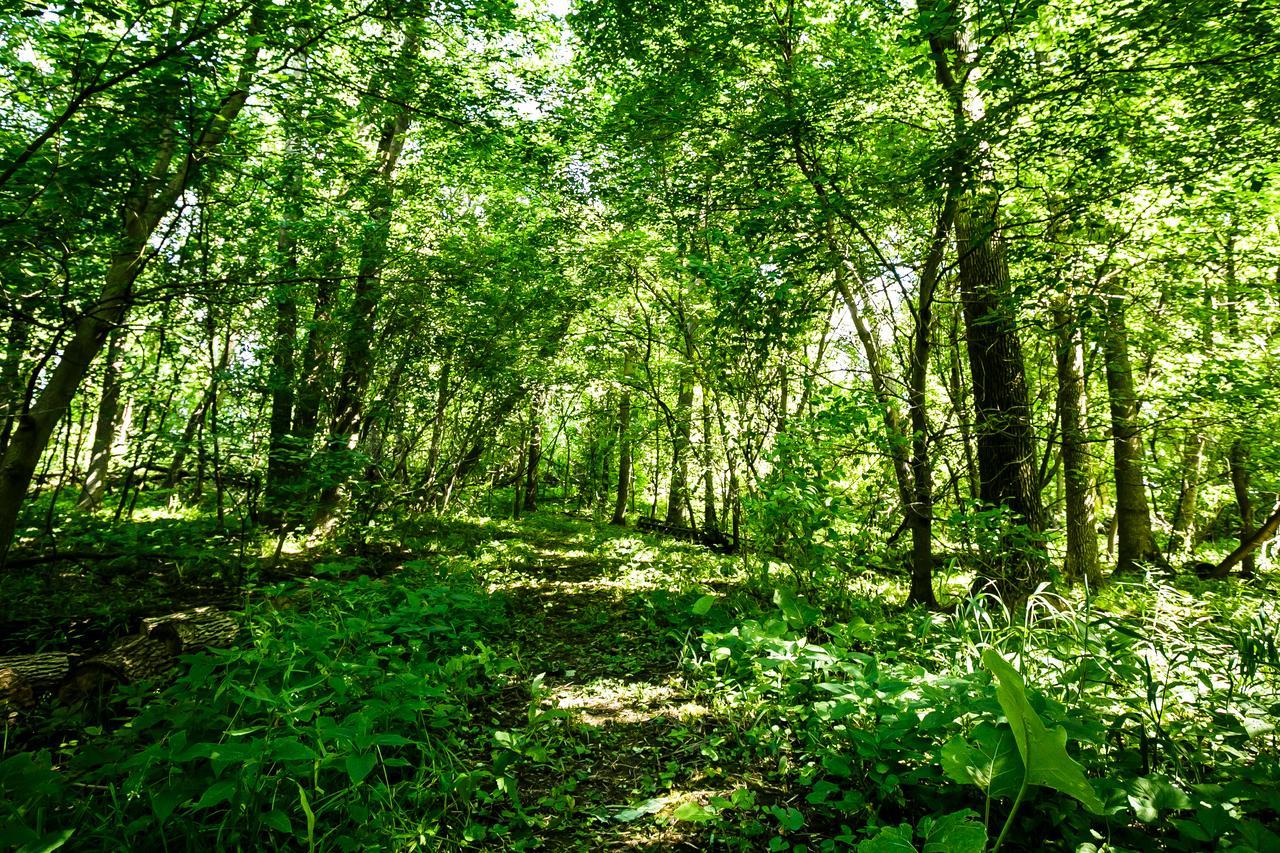 Strathmere Ξενοδοχείο Οττάβα Εξωτερικό φωτογραφία